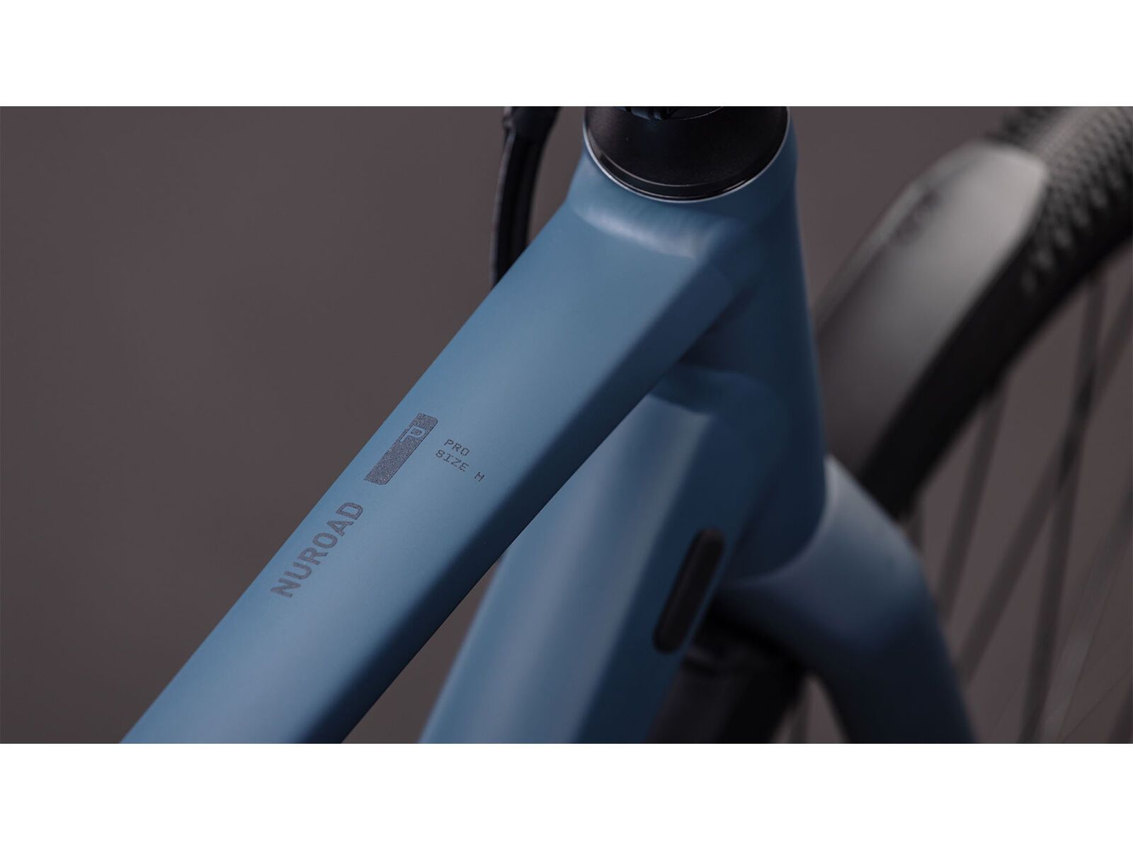 Cube Nuroad Pro FE, whale´n´reflex